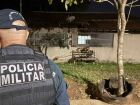 20º feminicídio de Mato Grosso do Sul em 2025 aconteceu em Ribas do Rio Pardo