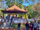Distribuição gratuita de livros na Praça Ary Coelho, em Campo Grande, promove o acesso à literatura e valoriza autores de Mato Grosso do Sul