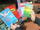 A 8ª edição do evento em comemoração ao Dia Nacional do Escritor distribuirá 2 mil livros na Praça Ary Coelho, com atrações culturais e artísticas.