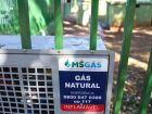 Gás encanado já chegou a 39 escolas da Rede Estadual.