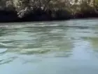 Trecho do Rio Verde, em Água Clara (MS), onde jovem de 21 anos desapareceu após pedir socorro neste domingo (24).
