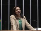 Dilvanda Faro, relatora do texto  