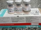 MS inicia nesta terça a aplicação da dose zero contra sarampo em bebês e reforça medidas nas regiões de fronteira