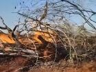 A fumaça não mente. Foi por causa dela  e de um alerta do satélite  que a Polícia Militar Ambiental chegou a uma propriedade rural no município de Paranaíba, em Mato Grosso do Sul. 