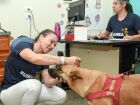 Campanha de vacinação antirrábica começa nessa segunda-feira (04)