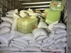 Carga avaliada em R$ 610 mil foi encontrada escondida em meio a sementes de girassol na BR-262, em Campo Grande