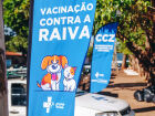 Ação na Praça Ary Coelho oferece atendimento gratuito para pets e orientação aos tutores neste sábado