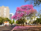 Primavera começa no próximo dia 22
