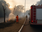 Bombeiros usam mangueiras e bombas costais para conter o incêndio no Parque dos Poderes, em Campo Grande