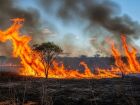 Incêndio atinge áreas próximas ao Parque Nacional da Serra da Bodoquena e destrói vegetação nativa, levantando preocupação sobre impactos ao turismo ecológico em Mato Grosso do Sul.