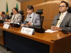 Reuniões da CCJR acontecem no Plenarinho Nelito Câmara