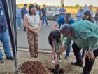 HR de Três Lagoas realiza plantio de árvores em ação de compromisso com o futuro sustentável