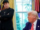 Trump recebe CEOs da tecnologia na Casa Branca para discutir IA; Musk confirma convite, mas não comparecerá.