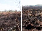 Fazenda em Caracol teve mais de 130 hectares de vegetação destruídos por fogo sem autorização ambiental