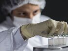 Parceria entre Butantan e Pfizer viabilizará produção da vacina contra o VSR no Brasil