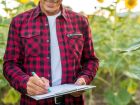 Mato Grosso do Sul conta com 4.397 engenheiros agrônomos