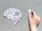 Mitos sobre Alzheimer prejudicam pacientes, familiares e cuidadores 