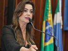Deputada defendeu o fortalecimento dos conselhos tutelares para o enfrentamento a esse tipo de crime