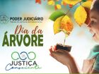 Ação do TJMS no Dia da Árvore terá distribuição de mudas e plantio de espécies nativas em Campo Grande.