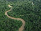 Ambientalistas alertam que MP do Licenciamento pode fragilizar compromissos do Brasil antes da COP30