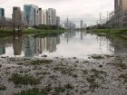 Rio Tietê mostra acúmulo de sedimentos que será alvo da nova PPP do governo paulista.