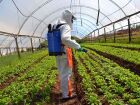 Ministério da Agricultura regulamenta pedidos de registro de novos defensivos agrícolas