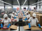 Trabalhadores embalam cortes de carne bovina em frigorífico de Mato Grosso do Sul. Estado busca novos mercados após tarifa dos EUA e reforça exportações para a China.
