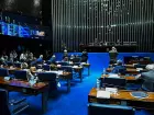 Senadores acompanham a votação em plenário. 