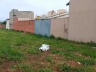Corpo foi encontrado em um terreno baldio nos fundos do Parque Antenor Martins, em Dourados 