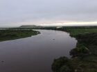 Governo sanciona Estatuto do Pantanal, inspirado em MS, com foco em preservação, turismo sustentável e combate ao desmatamento.
