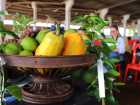 Agricultura familiar vive momento de relevância com sistema agroflorestal e economia de carbono.