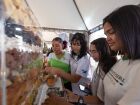 Mais de 200 alunos participam de oficinas sobre o Pantanal e Cerrado na Feapan 2025, em Corumbá, com jogos e materiais educativos.