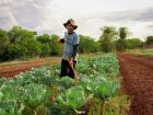 Produtores da agricultura familiar passam a contar com certificação, assistência técnica e apoio da Prefeitura por meio do programa AgroIntegra CG