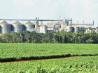 Silos vazios e campos produtivos: MS enfrenta déficit de armazenagem que limita estratégias de comercialização