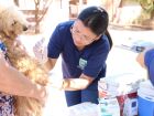 Secretaria Municipal de Saúde reforça a importância da imunização de cães e gatos a partir dos 90 dias de vida; aplicação ocorre de segunda a sexta-feira, das 8h às 10h e das 14h às 16h, em pontos fixos distribuídos pelos bairros, com extensão para Vista