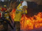 Incêndios na Chapada dos Veadeiros: dois focos já foram controlados 