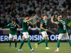Palmeirenses comemoram gol contra a LDU pela semifinal da Libertadores