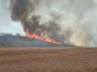 Calor, baixa umidade e estiagem colocam São Paulo em emergência para risco de incêndios nesta semana.
