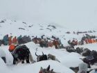 Mais de 200 alpinistas enfrentam temperaturas extremas e neve pesada após tempestade no Everest