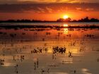 Mato Grosso do Sul comemora 48 anos de emancipação Do Pantanal ao agronegócio, um estado que pulsa história, natureza e futuro