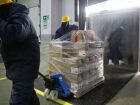 Novo medicamento para câncer de mama começa a ser distribuído pelo SUS e pode reduzir mortes em 50%.