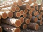 MPMS firmou TAC com proprietários rurais para recuperar 60 hectares desmatados ilegalmente em área de reserva legal, em Coxim.