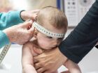 Pesquisa brasileira associa o aumento no perímetro cefálico nos primeiros meses do bebê ao QI na vida adulta