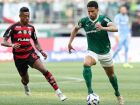 Flamengo lidera com 45,8% de chances de título, mas Palmeiras encosta com 41%, segundo UFMG