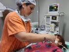 Centro de Endoscopia Avançada do HRMS é referência no atendimento de pacientes intoxicados por ingestão de produtos cáusticos em Mato Grosso do Sul.