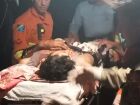 Vítima de ataque de onça é resgatada por bombeiros no Pantanal e transferida para hospital em Campo Grande
