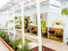 Espaço com plantas, texturas e sons promove acolhimento e desenvolvimento de crianças com autismo na APAE de Maracaju