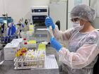 Mais de 139 mil exames foram realizados em 2025, com destaque para dengue, zika, chikungunya, oropouche e mayaro