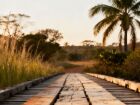 Paisagem do interior de Mato Grosso do Sul remete às áreas citadas na investigação da Operação Spotless, que apura fraudes em obras de Terenos.  