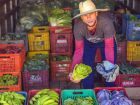 II Congresso de Nutrição de Mato Grosso do Sul debate desafios e transformações na alimentação e na saúde pública